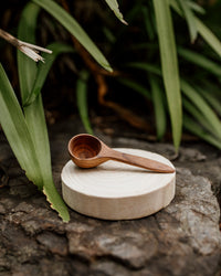 Mini Wooden Scoop