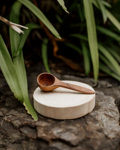 Mini Wooden Scoop